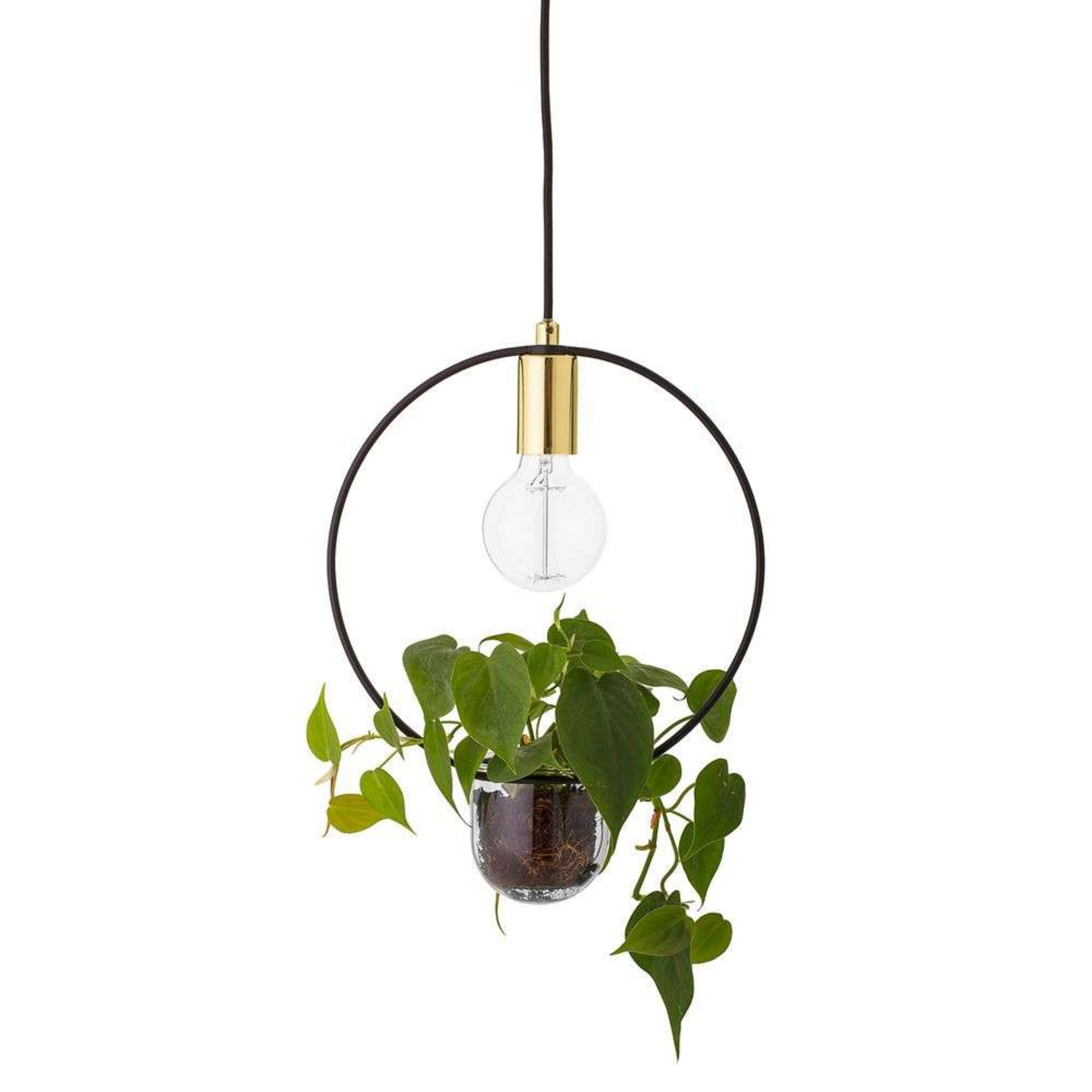 Caralina Plant 2 Suspension Gold - Bloomingville
