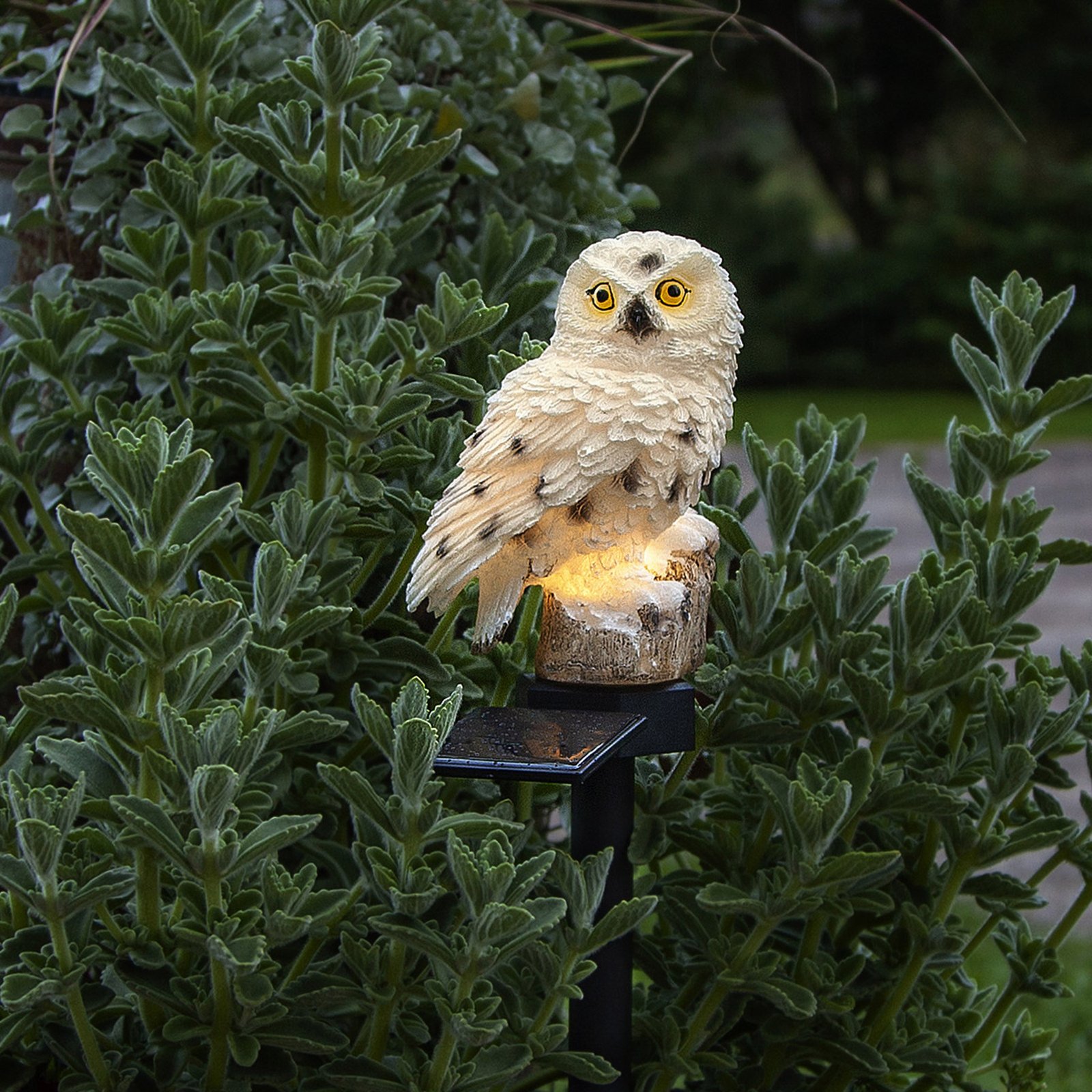 Lampe solaire LED Owl avec piquet