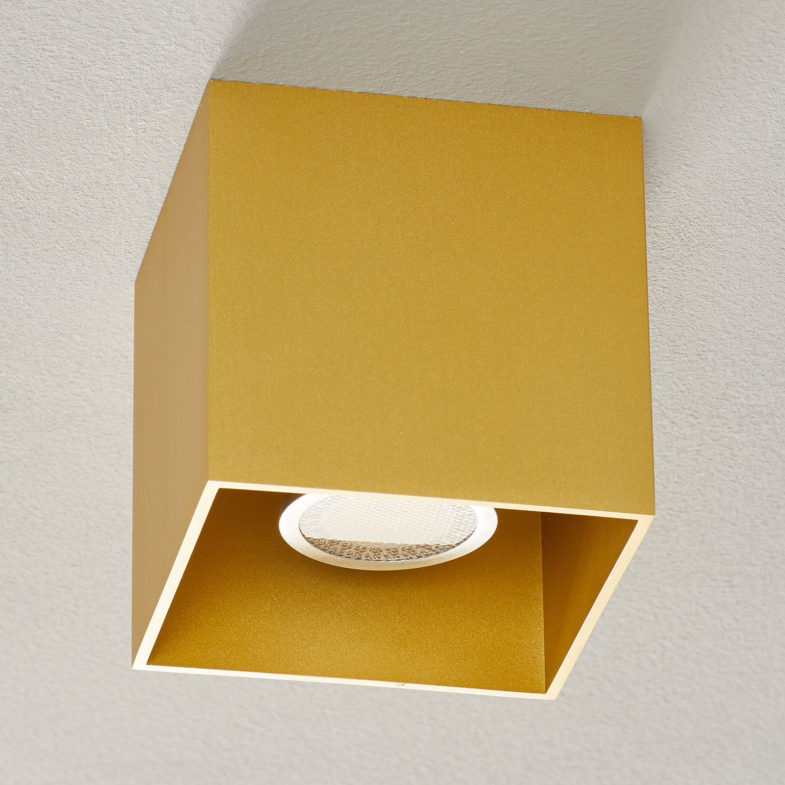 WEVER &amp; DUCRÉ Box 1.0 PAR16 lampa sufitowa złota