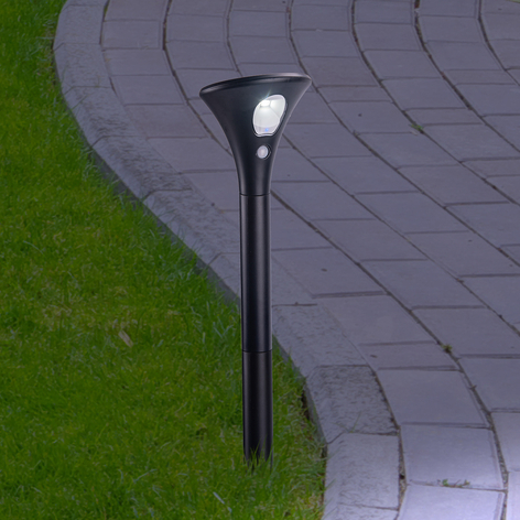 Lampe solaire LED 33898S détecteur, piquet