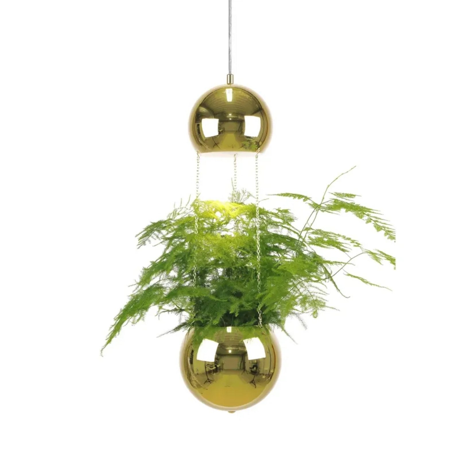 Mini Planter Lámpara Colgante Brass - Globen Lighting