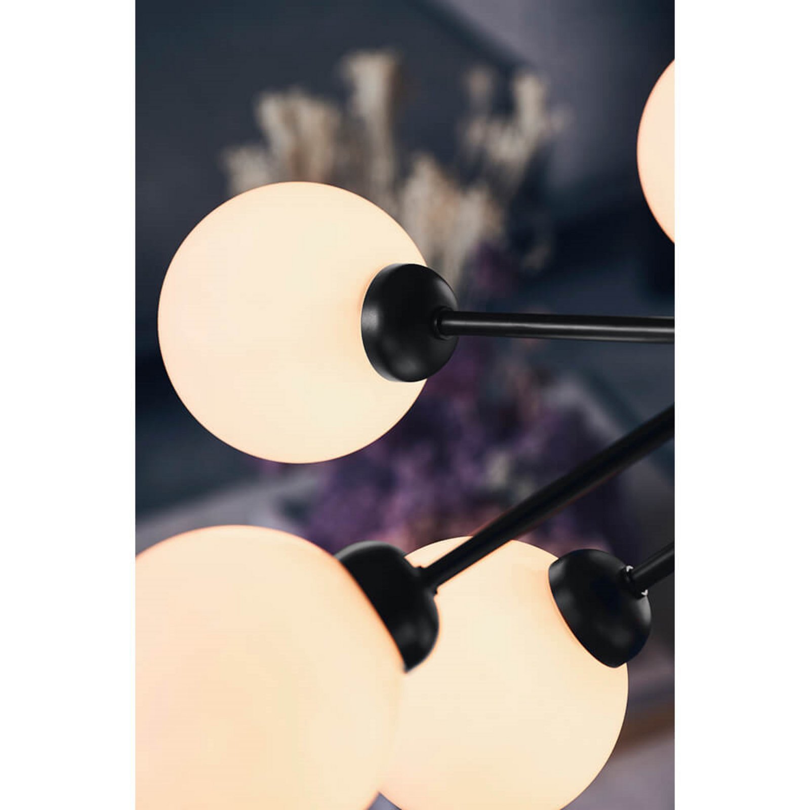 Apiales 9 Chandelier Satin Negro/Ópalo Blanco - Nuura