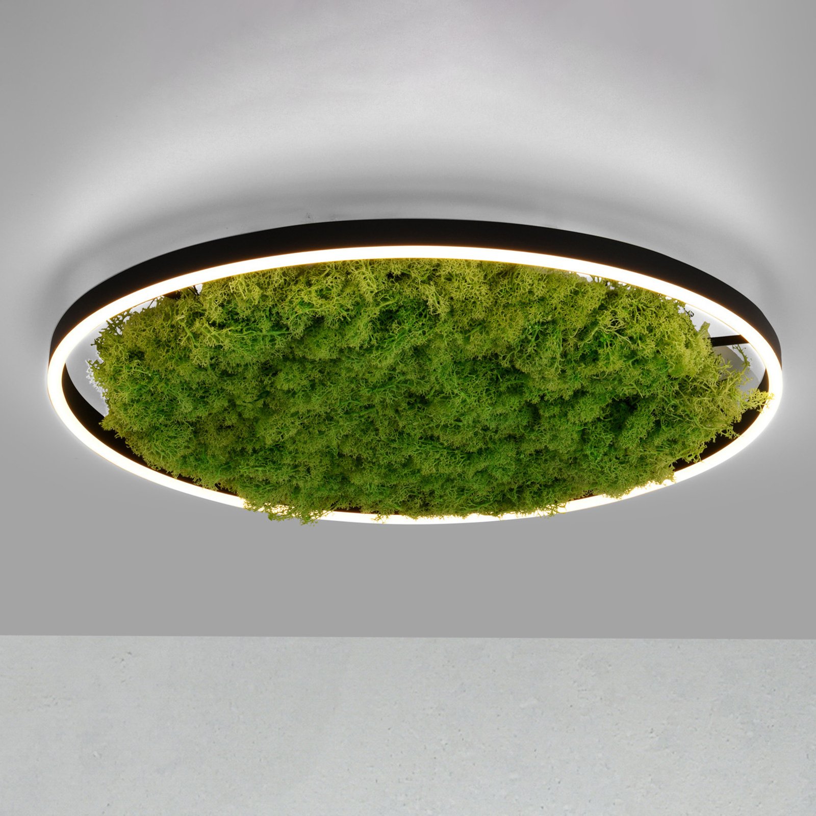 LED mennyezeti lámpa Zöld Ritus, moha, fényerőszabályzó Ø58.5cm