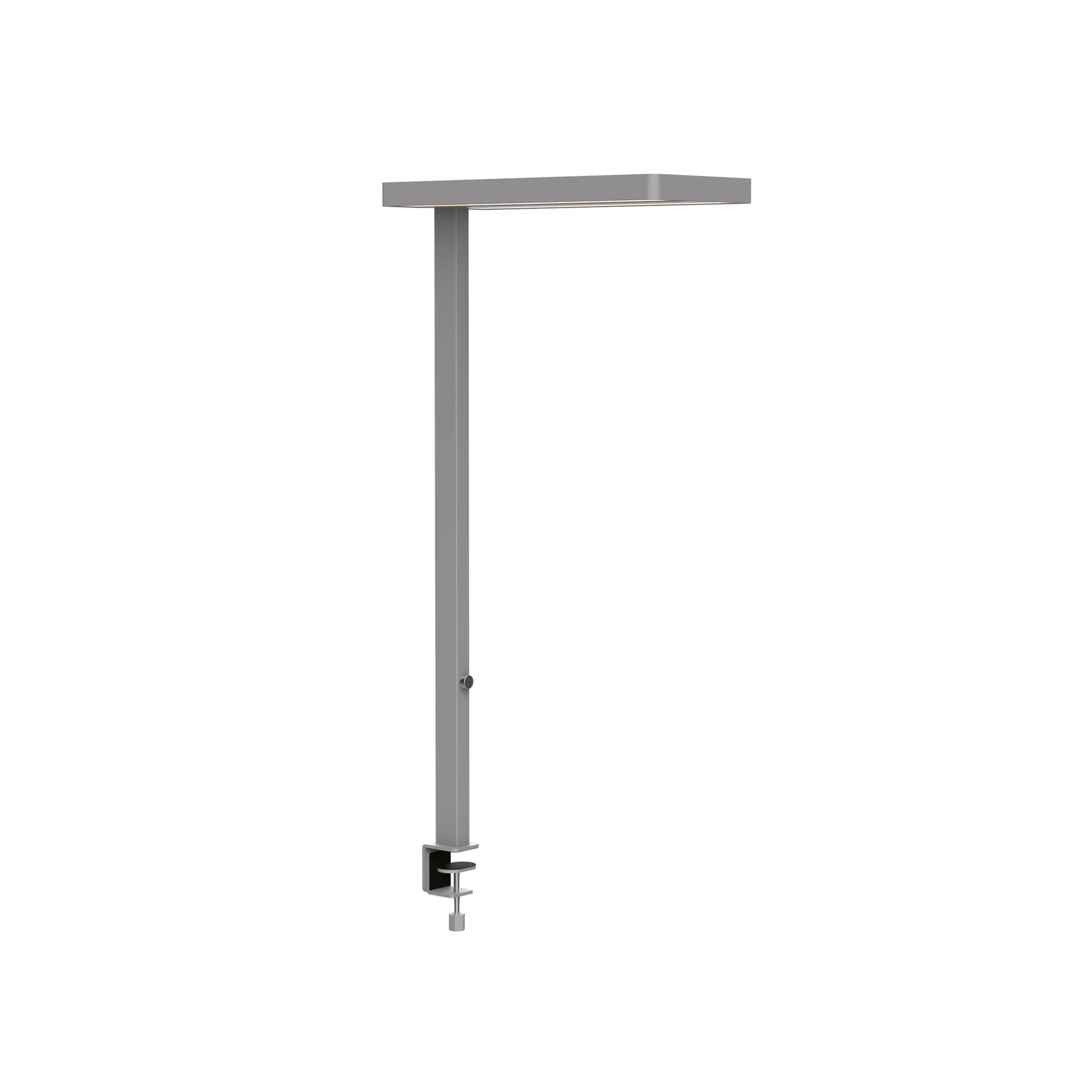 Lampe de table LED MAULjaval, argent, 120 cm, à intensité variable, pied à pince