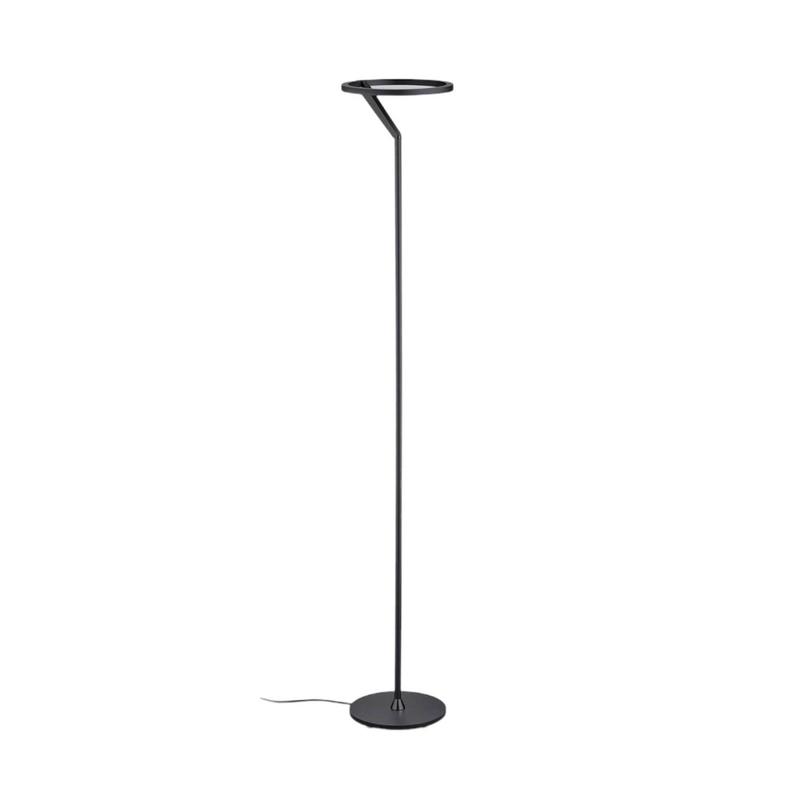 Helestra Elara LED-Stehlampe down dimmbar schwarz