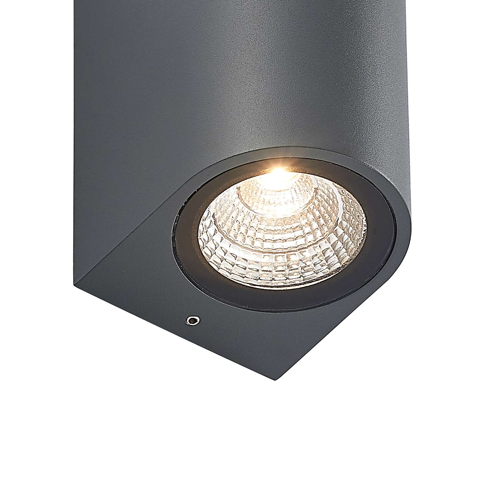 ELC Latika LED-Außenwandleuchte, anthrazit