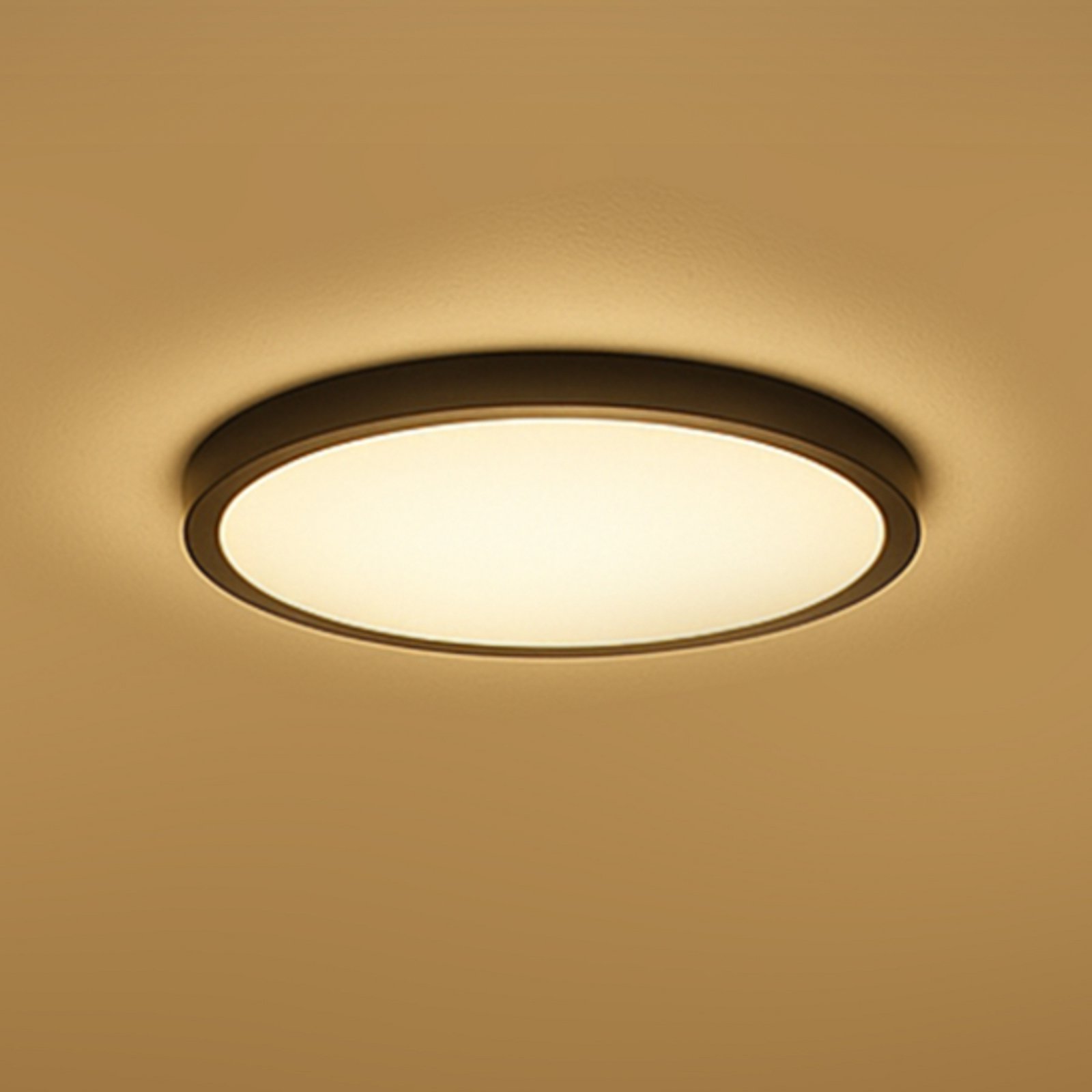 Calex Smart LED-Deckenlampe HALO Ø 30cm schwarz IP54 RGB CCT