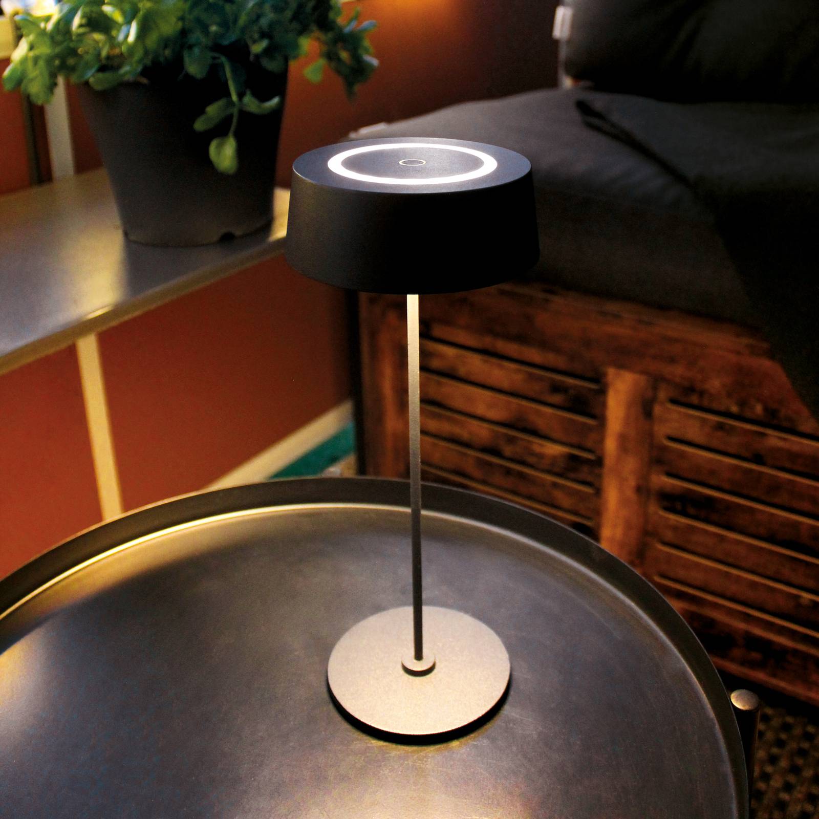 Eco-light led akkus asztali világítás cocktail, dimm, fekete