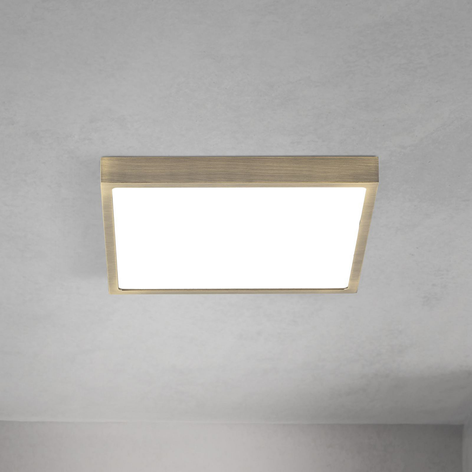 ORION Plafonieră LED pentru tavan Disc culoare alamă antică lungime 24 cm CCT - Camera de zi / sufragerie - Modern - alamă antică alb - Aluminiu