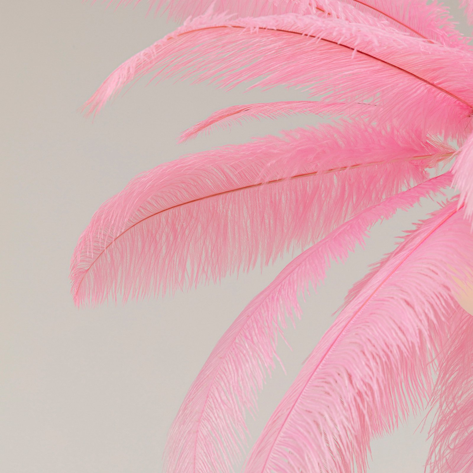 Lámpara colgante KARE Feather Palm, rosa, plumas, Ø 87 cm, G9 Lámpara colgante KARE Feather Palm, rosa, plumas, Ø 87 cm, G9