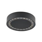 Molto Luce LED outdoor ceiling lamp Nona, Ø 22.8 cm, anthracite