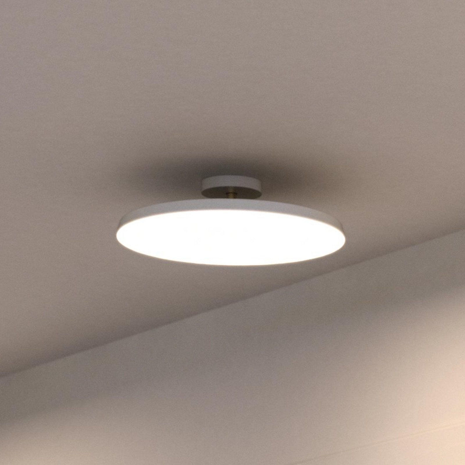DFTP by Nordlux Plafonieră cu LED Kaito 2 Pro Ø 40 cm alb distanțare - Camera de zi / sufragerie - modern - alb alamă - Plastic