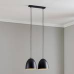 Hanglamp Lenox, 2-lamps, zwart/goud