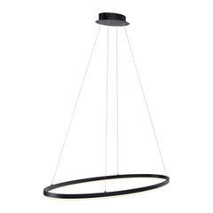 Paul Neuhaus Lampada LED a sospensione Titus, 118x56cm, CCT, dimmerabile