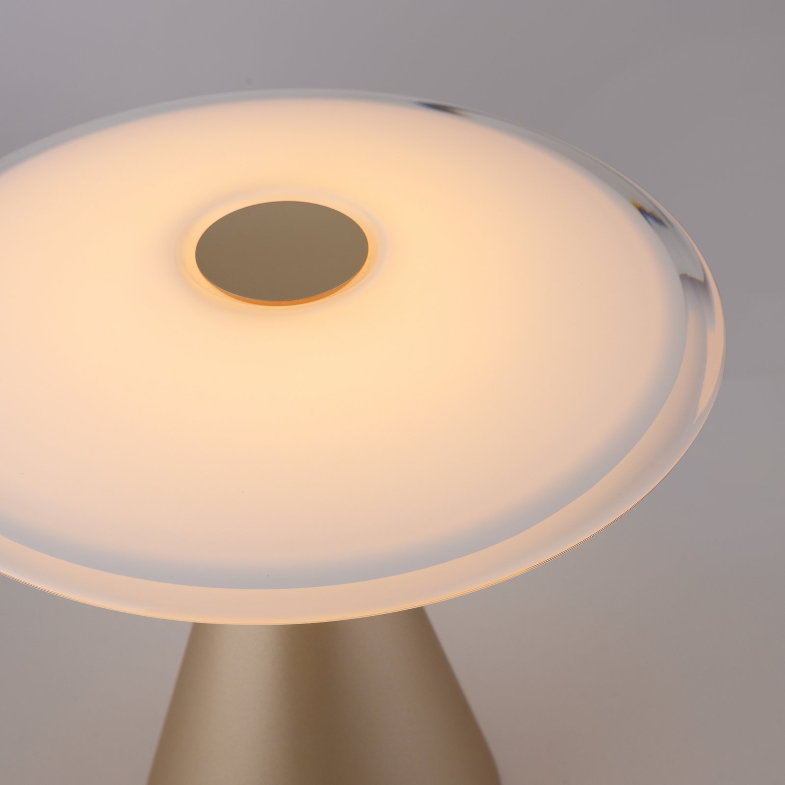 Paul Neuhaus LED-Tischlampe Elipsa, weiß/bronze, dimmbar
