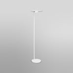 LEDVANCE SUN@Home Panan Floor, LED floor lamp