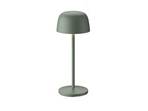 Arietty Prijenosni Stolna lampa Green- Lindby