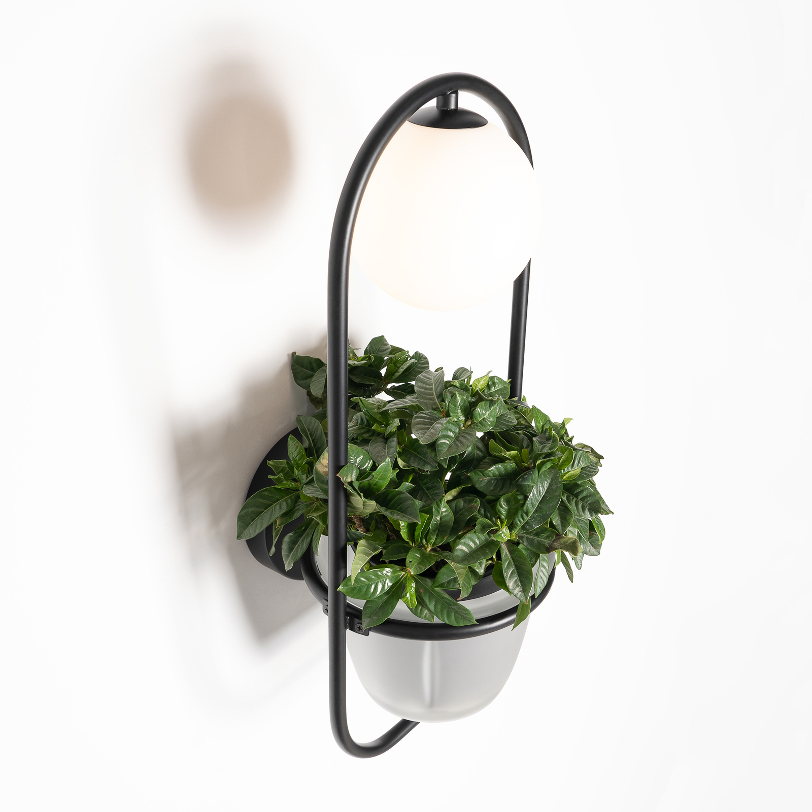 Lindby Orna wall light 1-bulb hanging basket