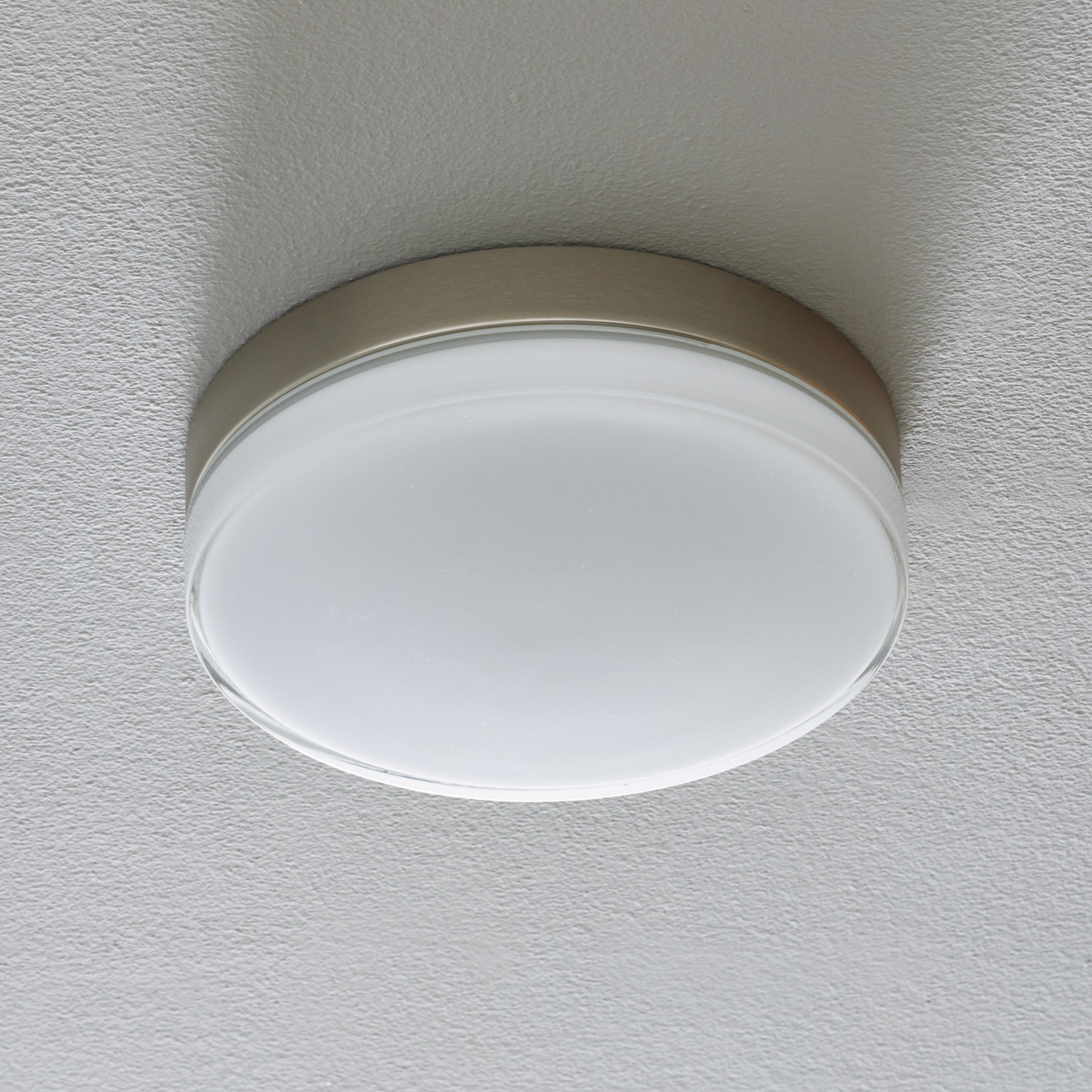 BEGA 12128 LED stropné svietidlo DALI 930 oceľ 26cm