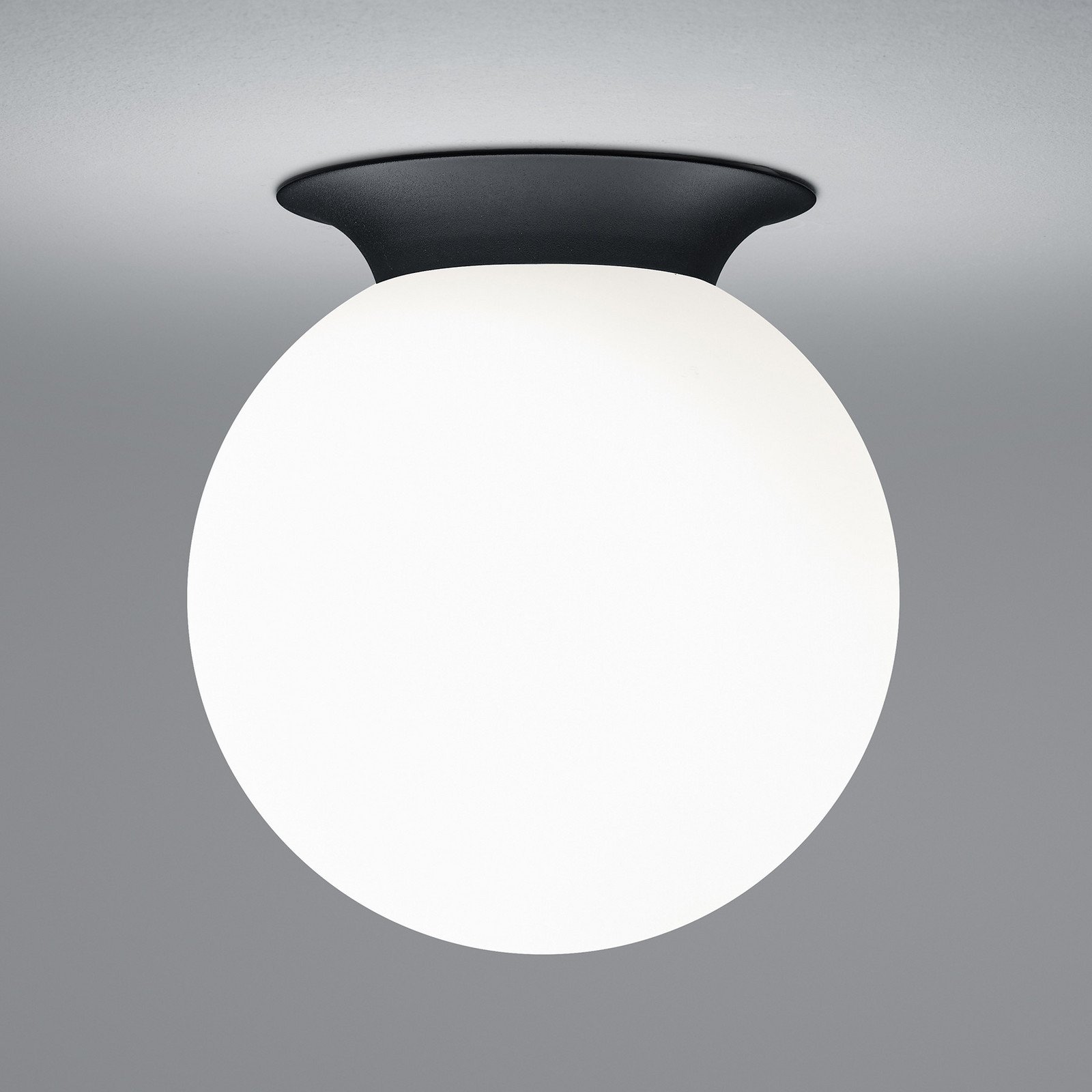 HELL Plafonieră Blob abajur globular din sticlă opală Ø 20 cm - Camera de zi / sufragerie - modern - opal negru