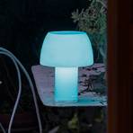 Nemo LED baterijska stolna lampa Lorosae, plava, staklo, IP54, USB