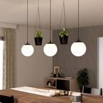 Lampa wisząca Rondo 3 doniczka 3-pkt. czarna