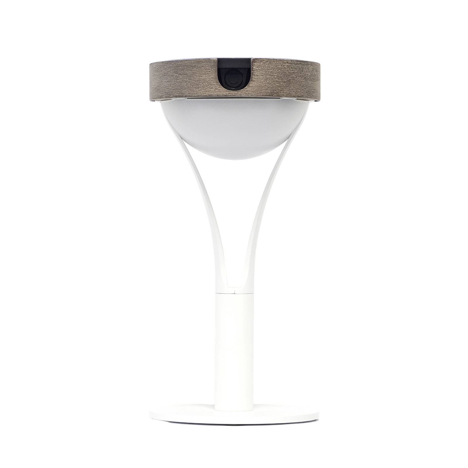 LED-Solartischleuchte Tyble weiß   teak 2700 K 200 lm