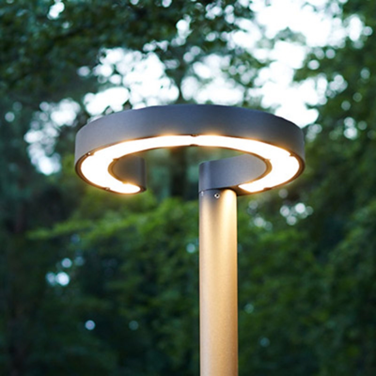 ring lamp post