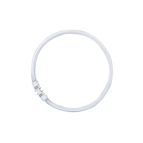 2GX13 LUMILUX T5 ring-lysrörslampa FC-Circline