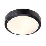 Desi 28 Stropní Lampa Black - Nordlux