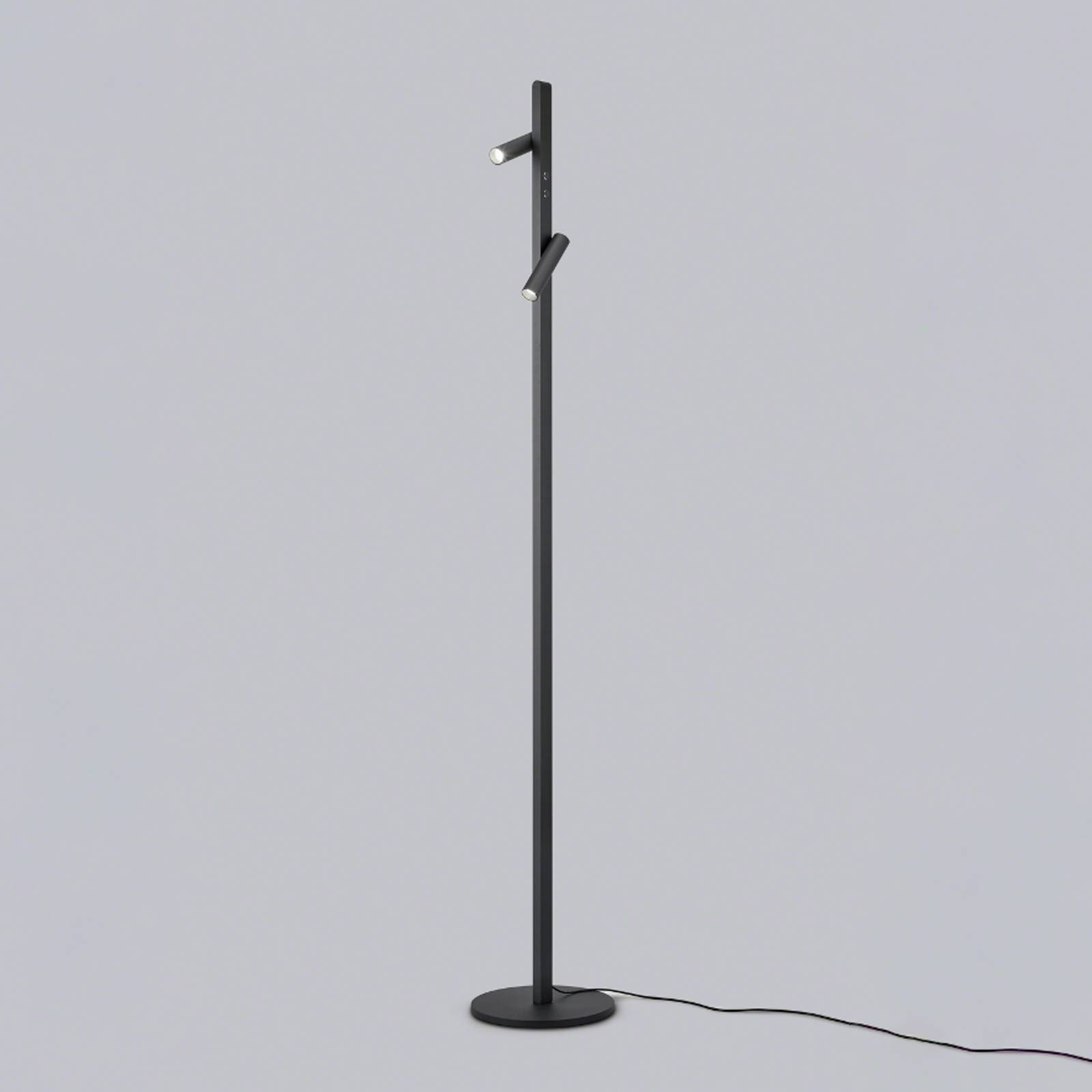 Helestra Coni LED-gulvlampe 2 spots 160cm sort