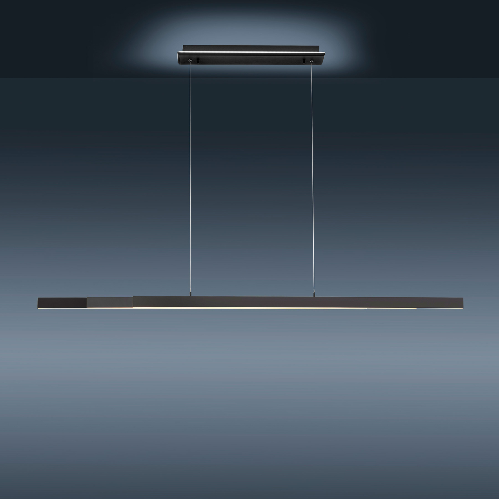Paul Neuhaus Q-ARIAN závesné LED svetlo, antracit