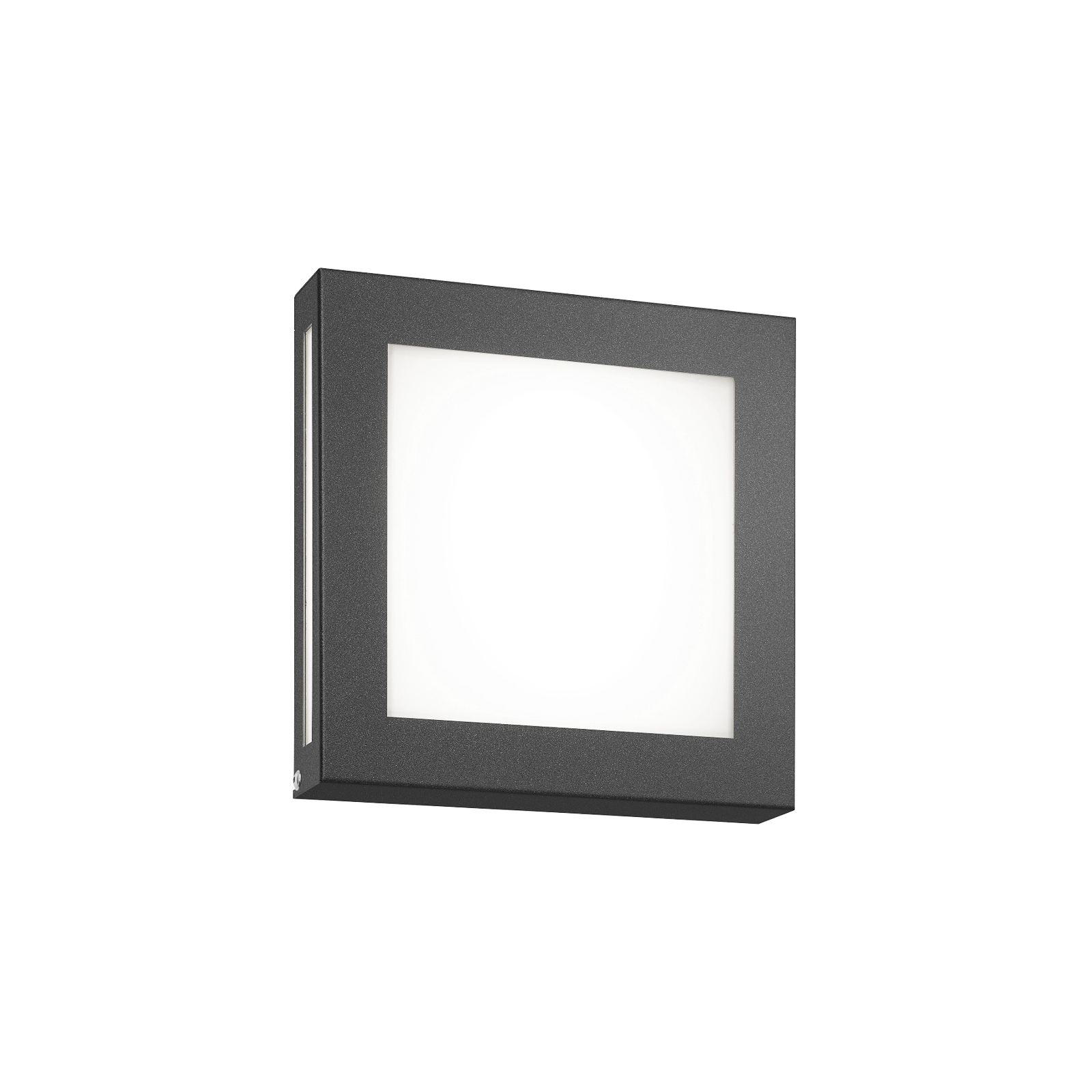 CMD Legendo Mini LED outdoor wall light, anthracite, Stainless steel, opal glass, 13 W, energy efficiency: A+, W: 22 cm, H: 22 cm
