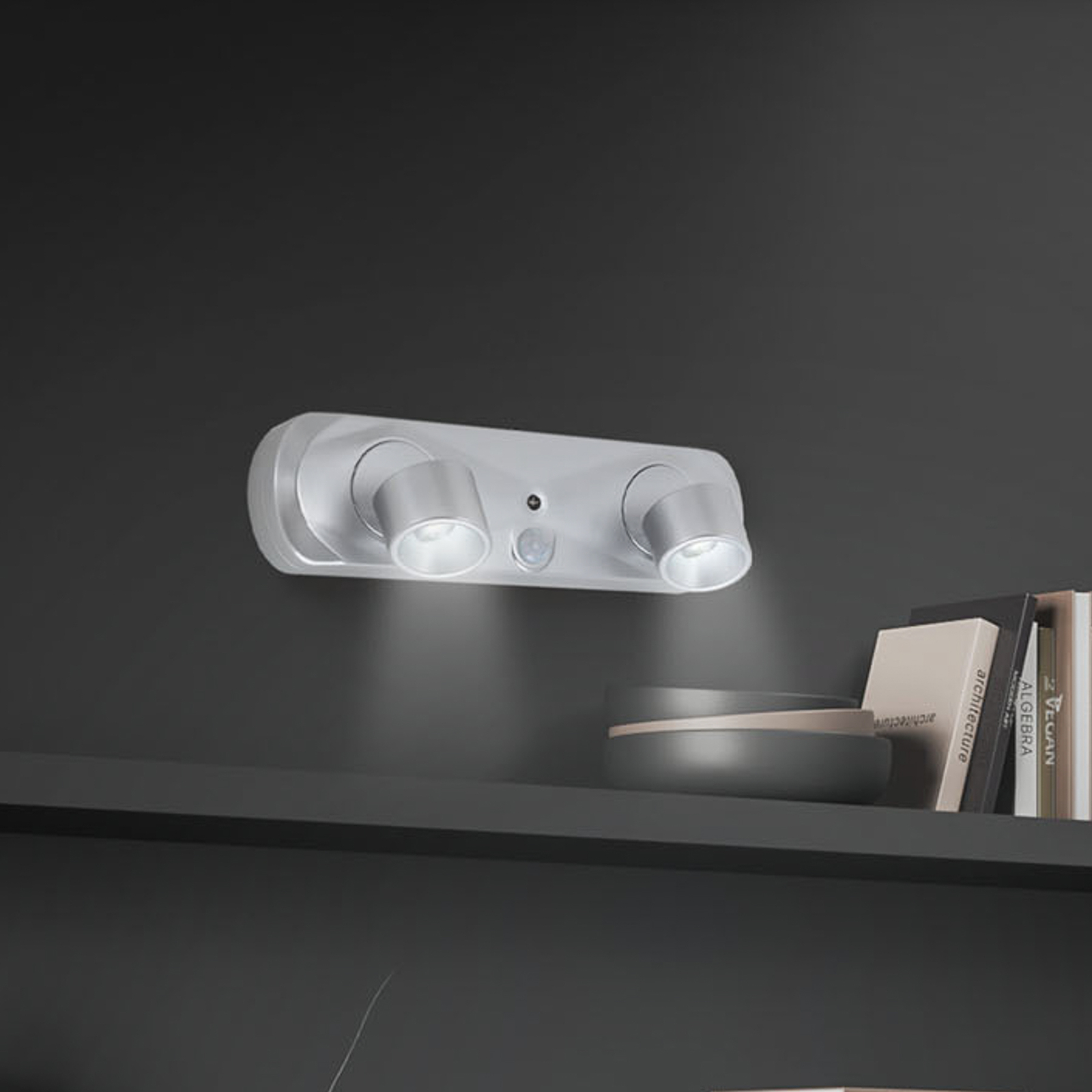 Terya LED wall light, battery, 6,500 K, 2-bulb