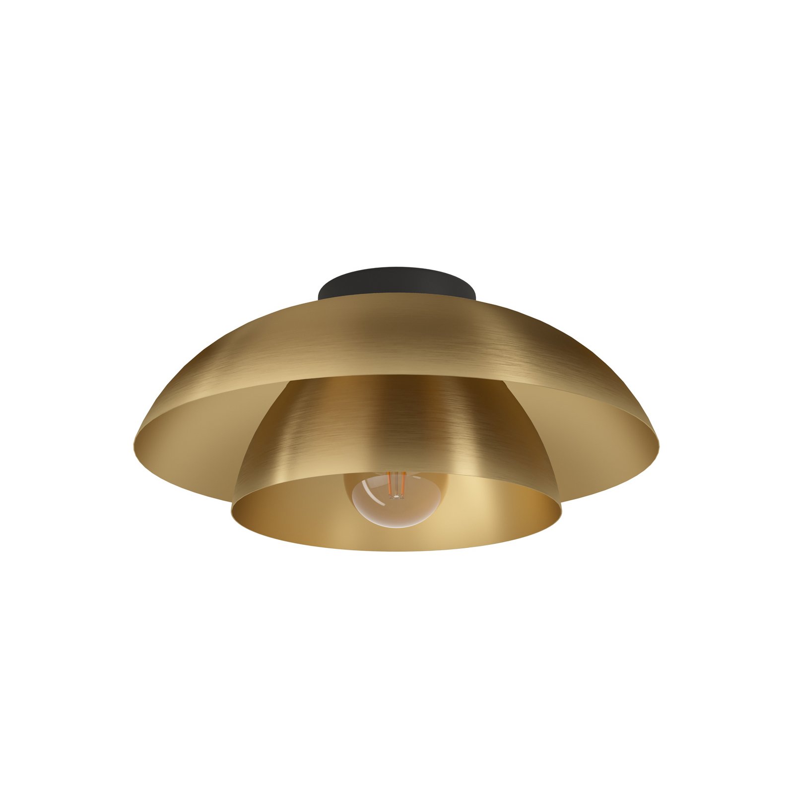 Kattovalaisin Cenciara harjattua messinkiä