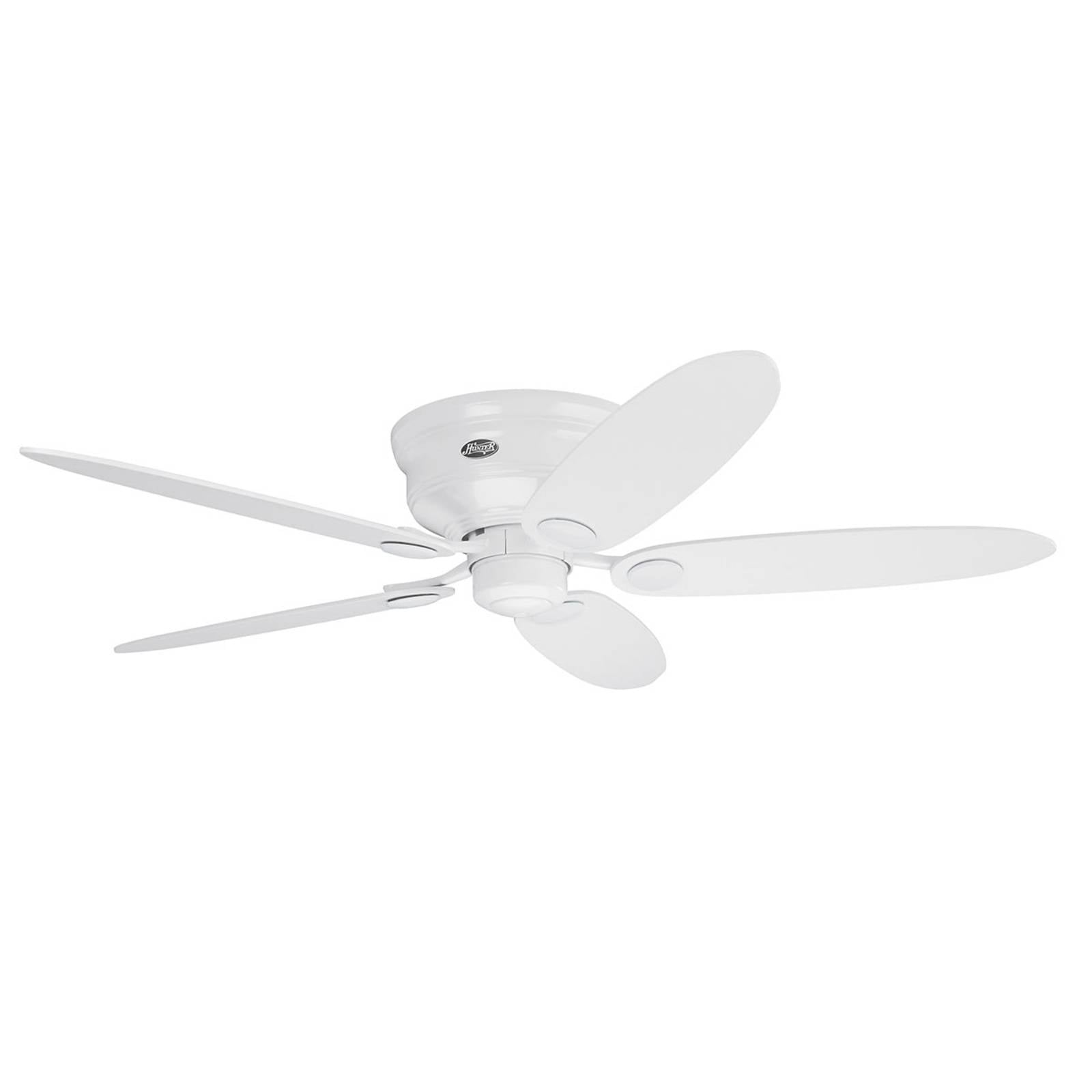 Hunter Low Profile III Ventilator weiß/ahorn