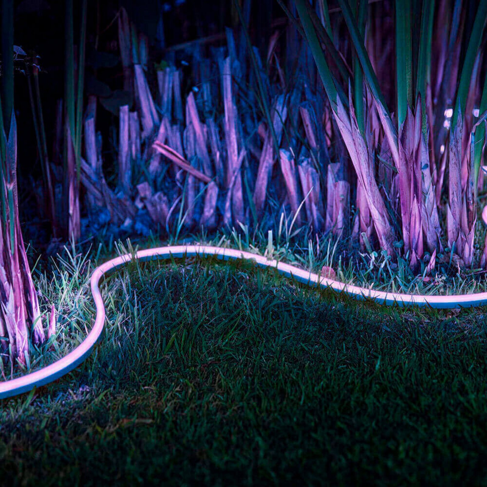 Hue Outdoor Lightstrip 2m White/Color Amb. - Philips Hue