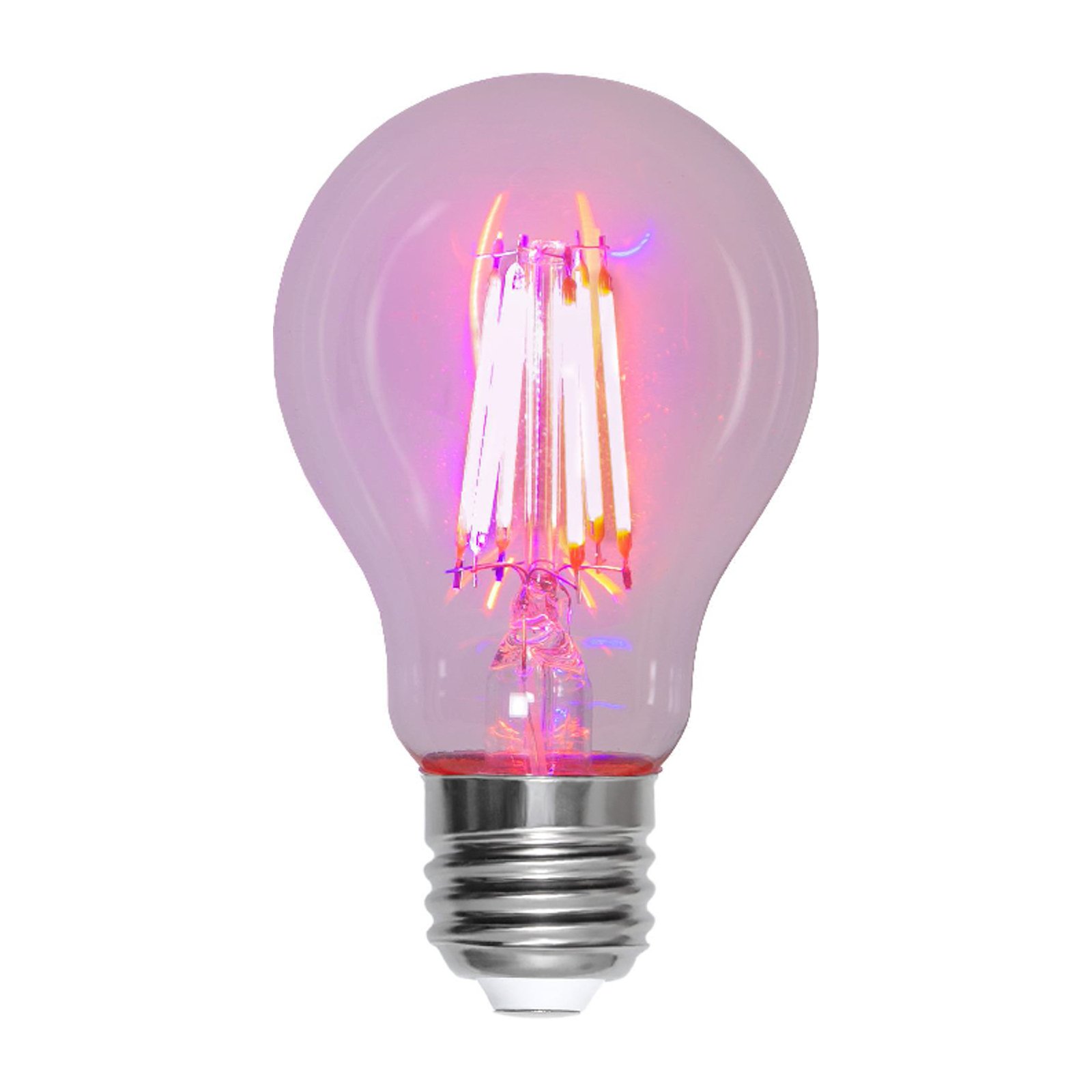 LED plant bulb thrive, traditional light bulb A60, E27, 6.5 W red