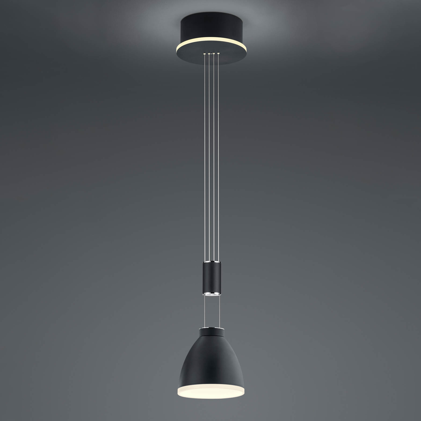 Leni LED pendant light, 1-bulb, black