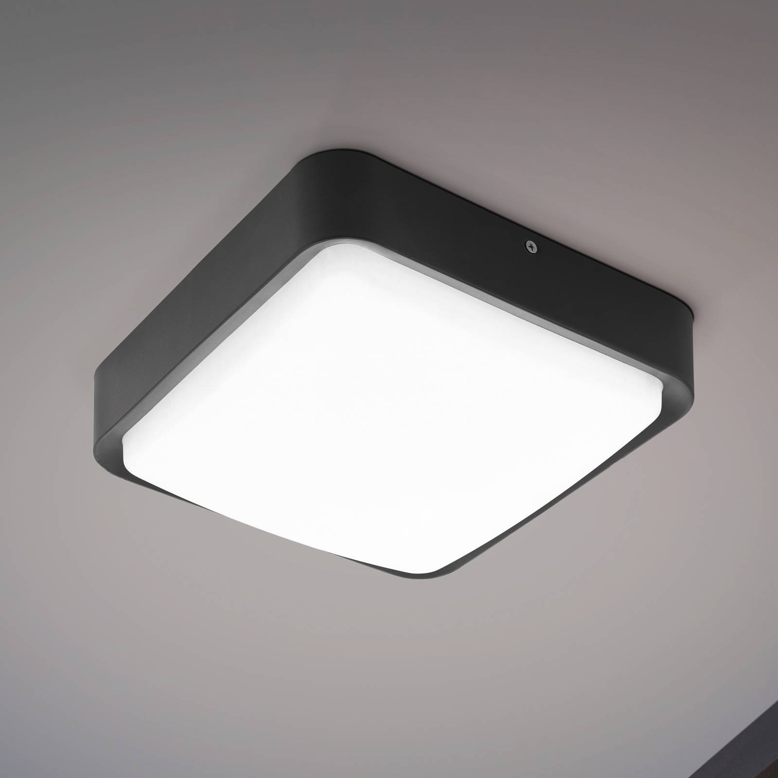 EGLO connect Piove-C LED-Außenwandleuchte günstig online kaufen