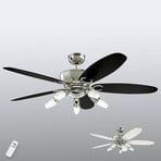 Ventilateur de plafond avec éclairage Arius avec télécommande - Westinghouse