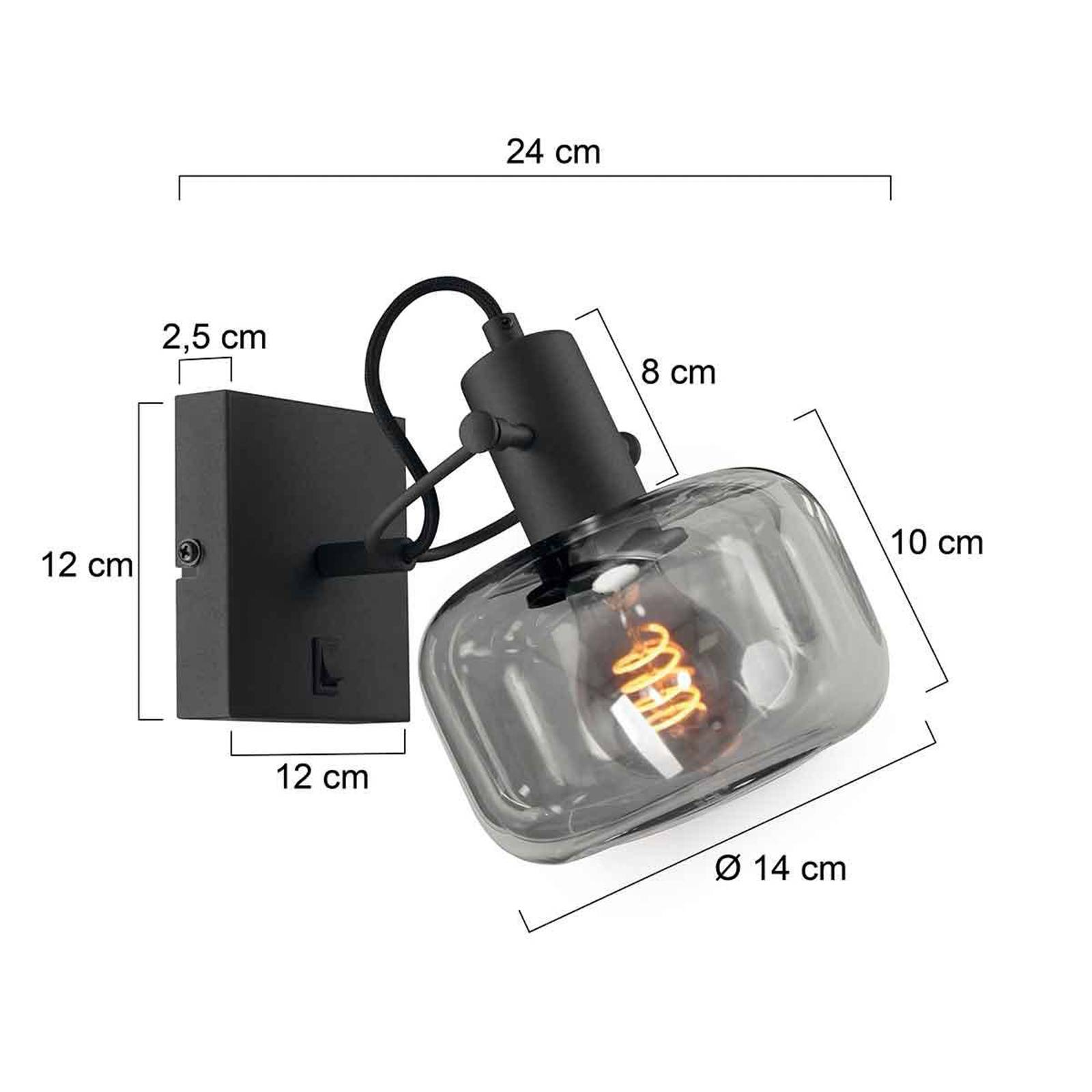 Steinhauer Glaslic vägglampa rökgrå 1 lampa glas metall