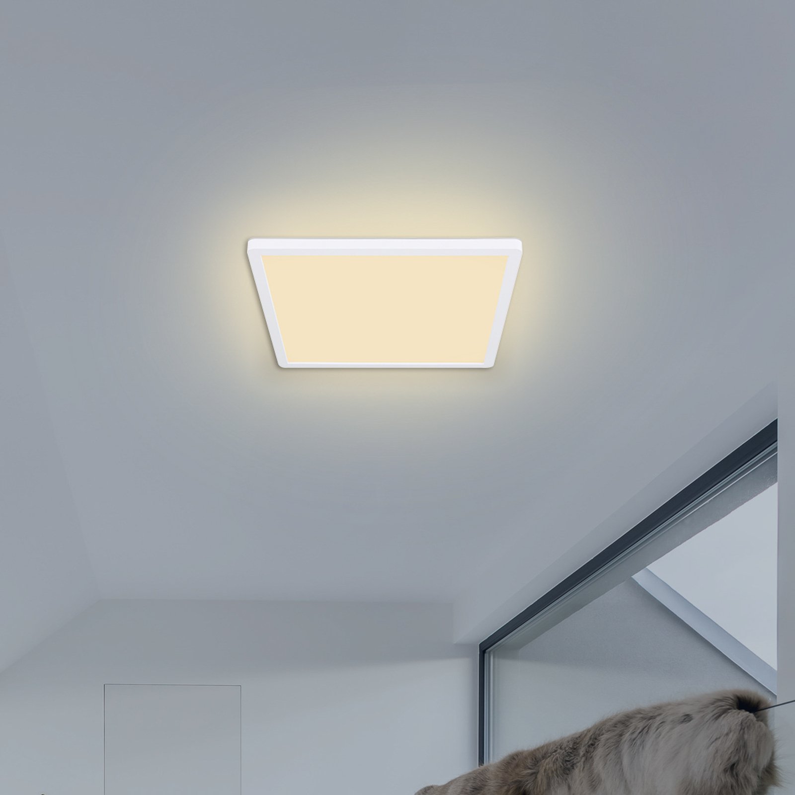 Lampa sufitowa LED Sapana kątowa ściemniana, biała