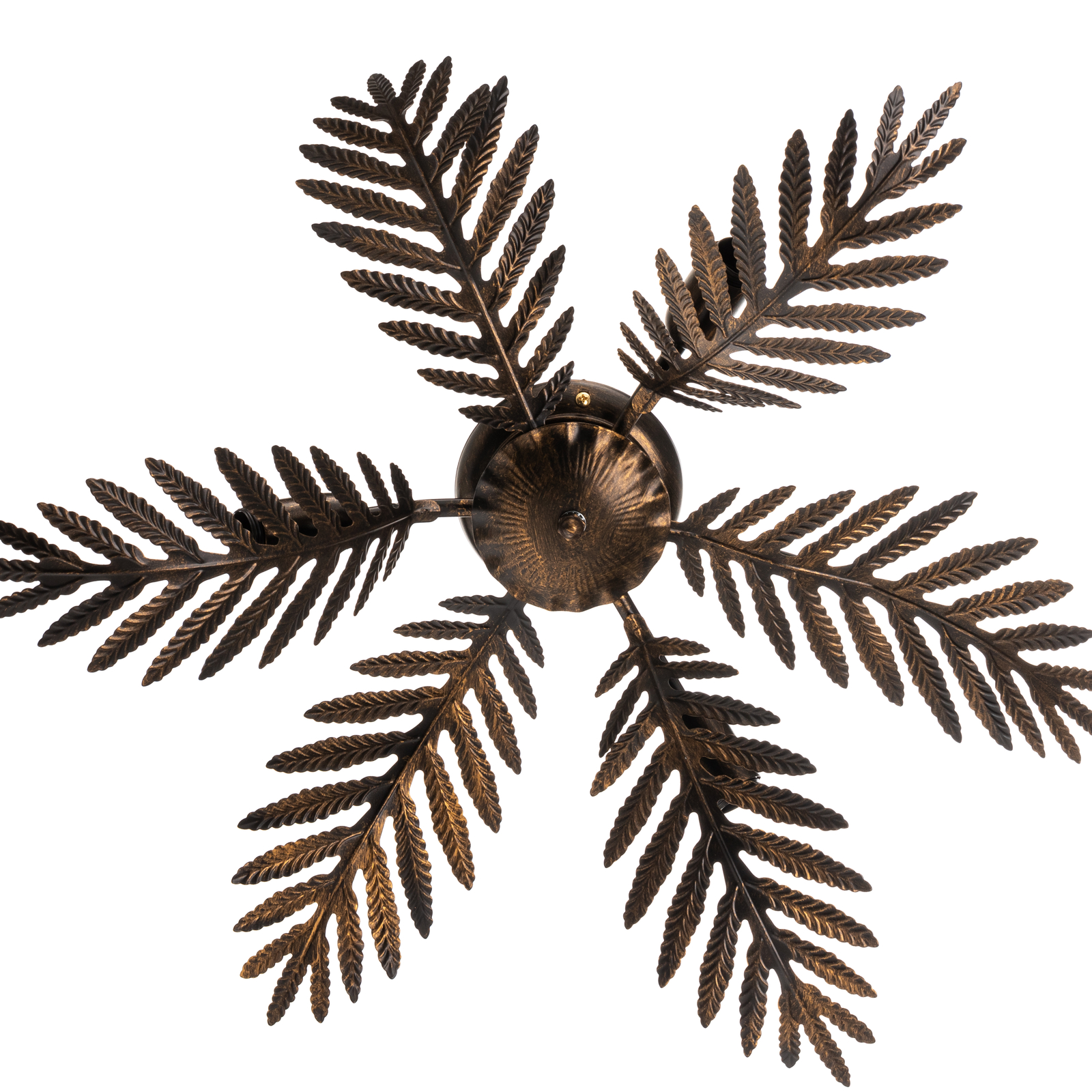 Felce wall light as a fern in bronze, Ø 60 cm