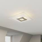 Quitani LED ceiling light Tian, glass shade, 39 x 39 cm