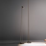 OLEV Boom LED floor lamp 240 cm IP20 burnished