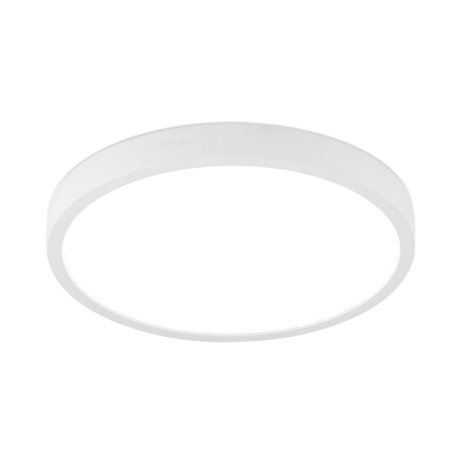 LED ceiling lamp Disc, white Ø 24 cm, CCT, metal/plastic