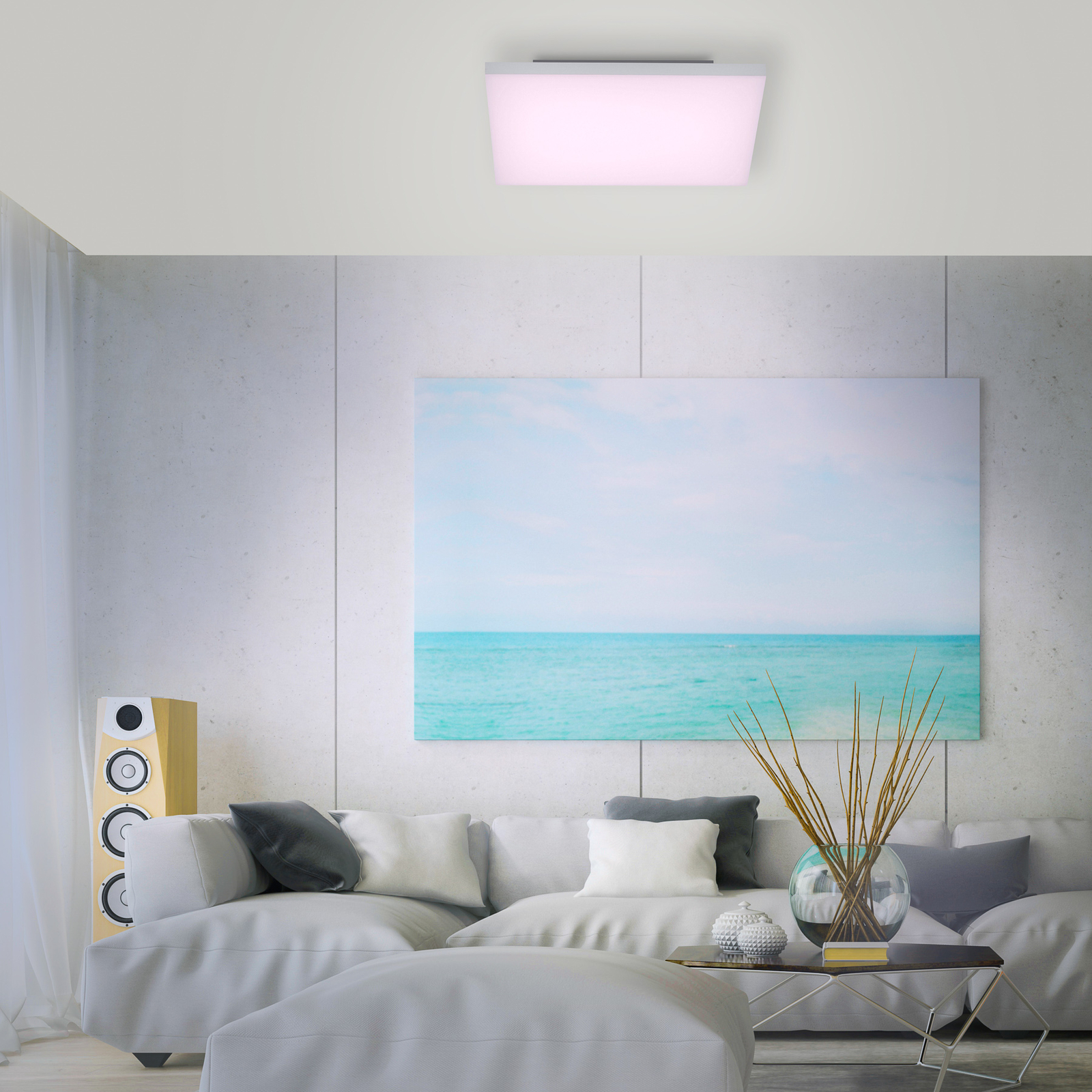 Paul Neuhaus Q-FRAMELESS plafondlamp RGBW 45x45cm