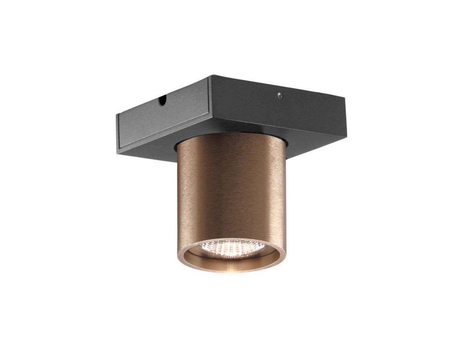 Focus 1 LED Lámpara de Techo 3000K Rose Gold - LIGHT-POINT