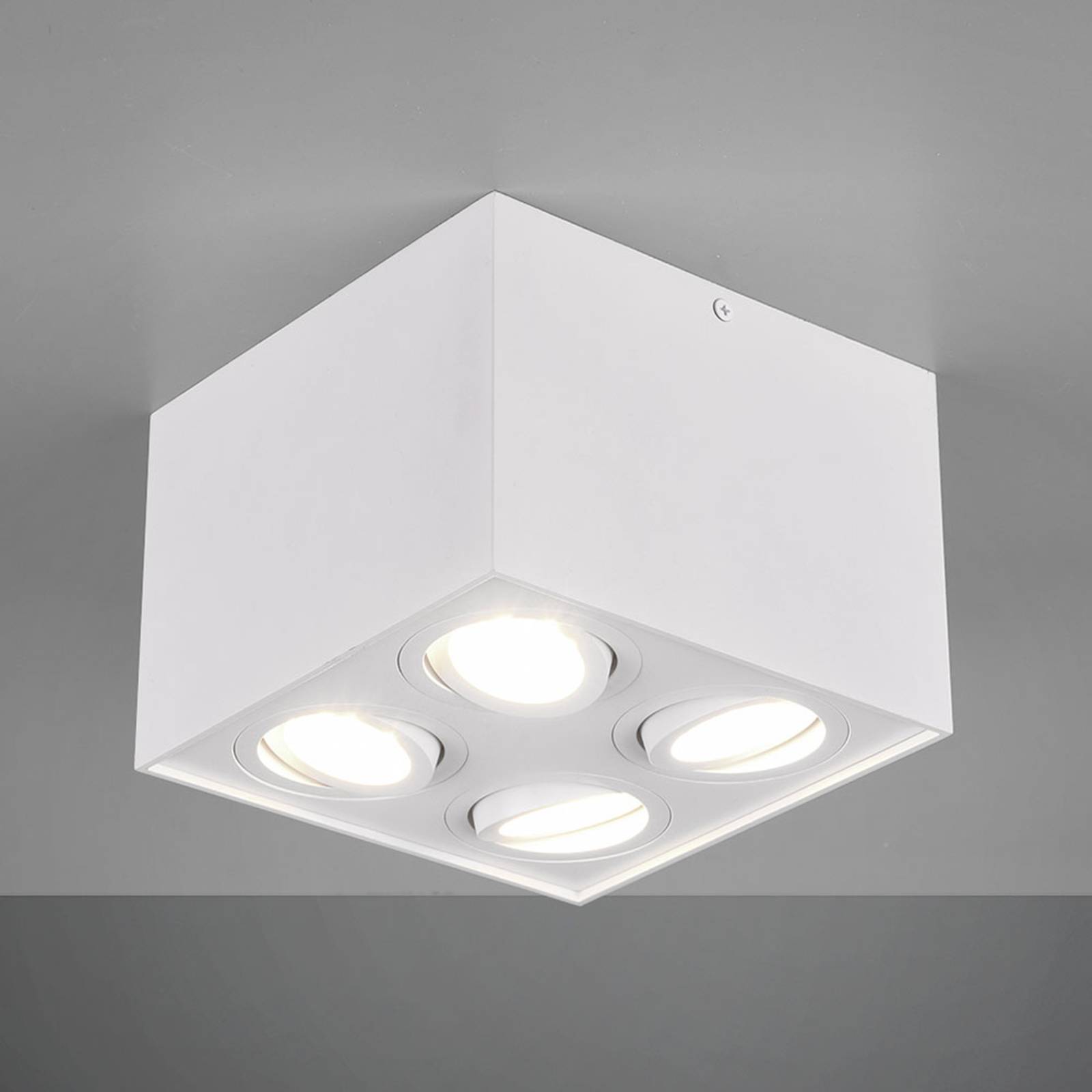 Plafondlamp Biscuit, 4-lamps, wit